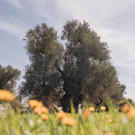 Masseria San Lorenzo Resort Φαζάνο Εξωτερικό φωτογραφία